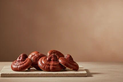 Reishi - Functional Organics