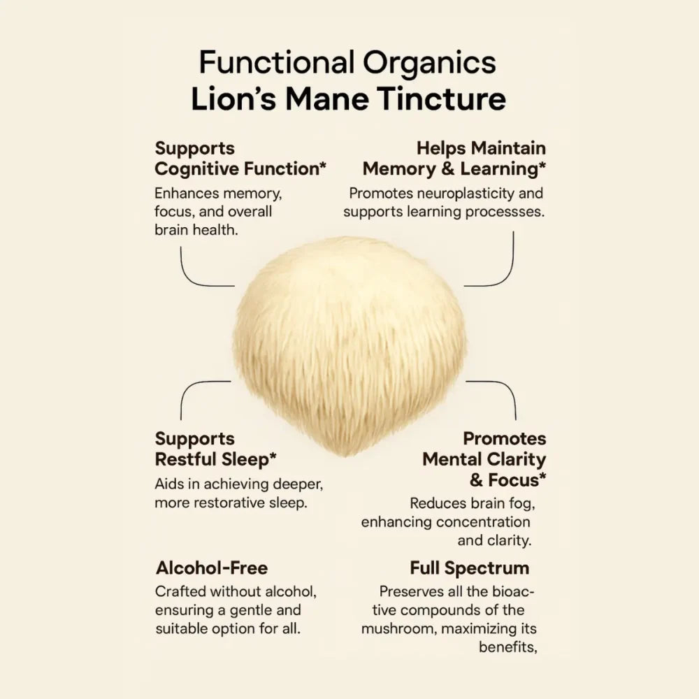 Lion's Mane Tincture