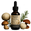 Lion's Mane Tincture
