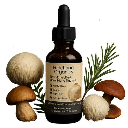 Lion's Mane Tincture